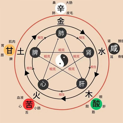 The Theory of the Five Elements (Wu Xing)