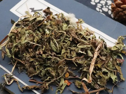 Taraxaci Herba