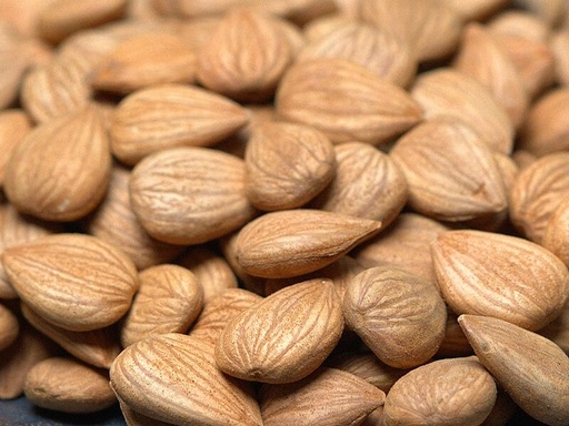 Armeniacae Semen Amarum