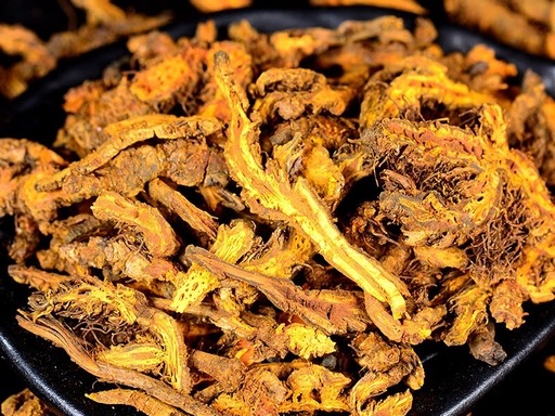 Coptidis Rhizoma