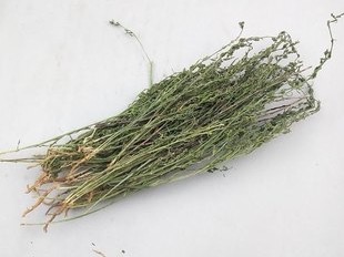 Thesii Herba