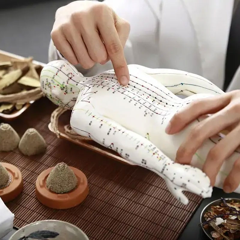 Methods of TCM Health Preservation (Yangsheng)
