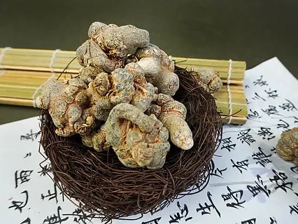 Notoginseng Radix Et Rhizoma