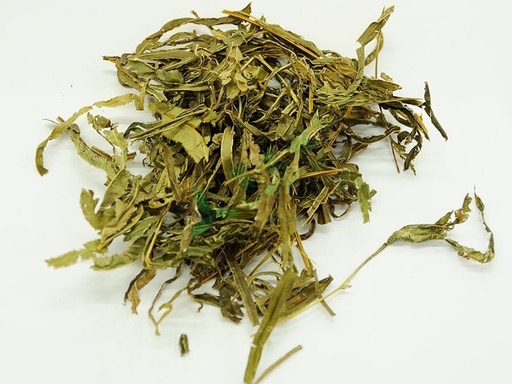 Chinese Brake Herb / Huguenot Fern Herb