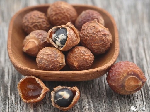 Sapindus mukorossi Gaertn.