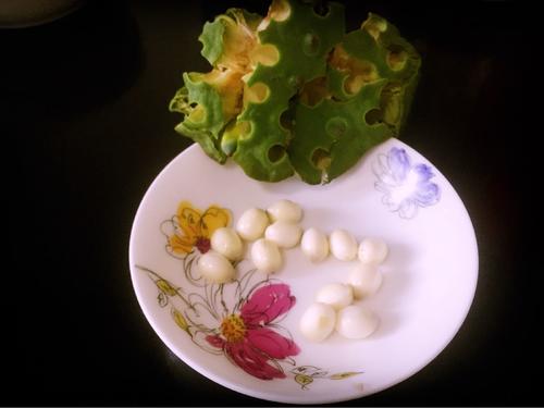 Recipe Name: Red Date, Lotus Seed and Roasted Barley Tea