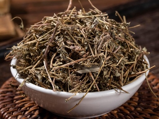 Euphorbiae Humifusae Herba