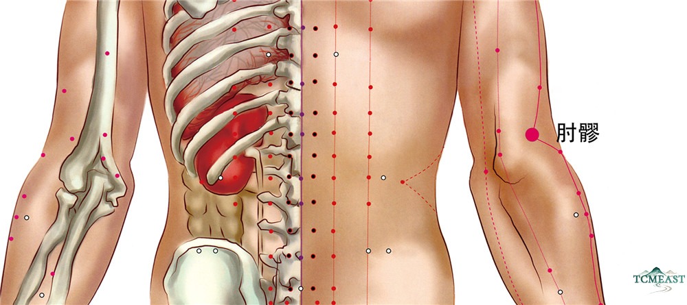 Zhouliao Point (LI-12 / Elbow Bone Crevice)
