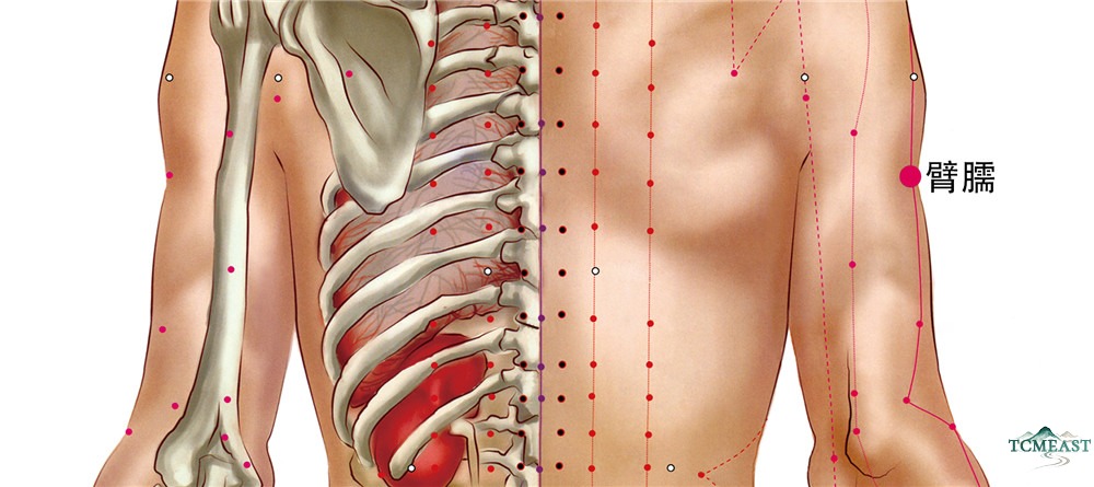 Binao Point (LI-14 / Upper Arm)