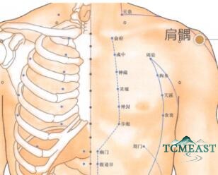 Jianyu Point (LI-15 / Shoulder Bone)