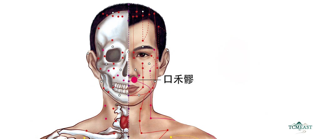 Kouheliao Point (LI-19 / Upper Lip Grain)