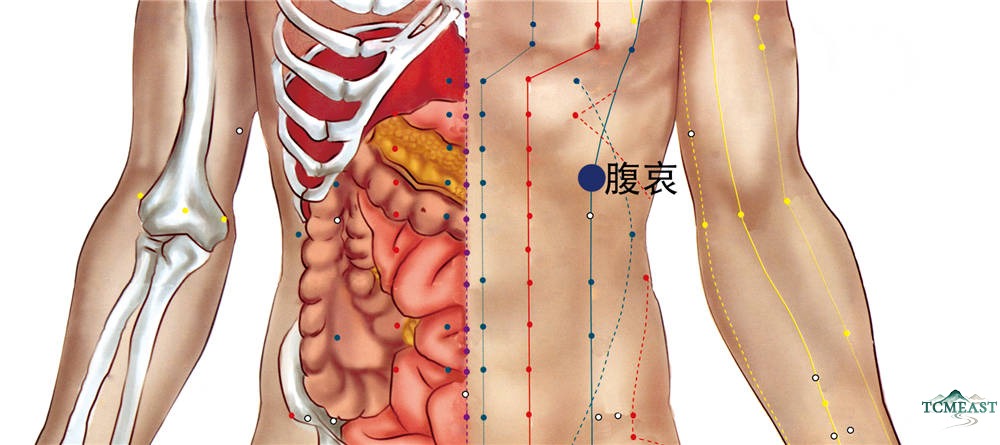 Fu'ai Point (SP-16 / Abdominal Lament, also known as Chang'ai)