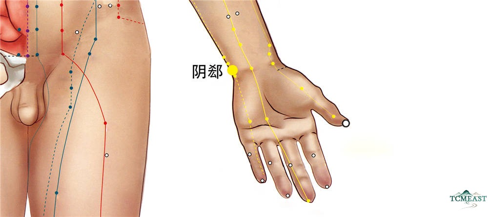 Yinxi Point (HT-6 / Yin Cleft)