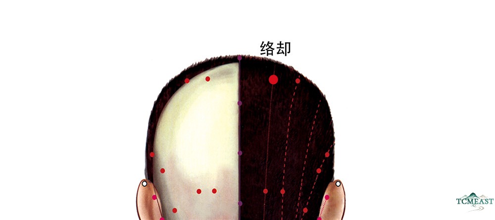 Luoque Point (BL-8 / Connecting Return, also known as Qiangyang, Naogai)