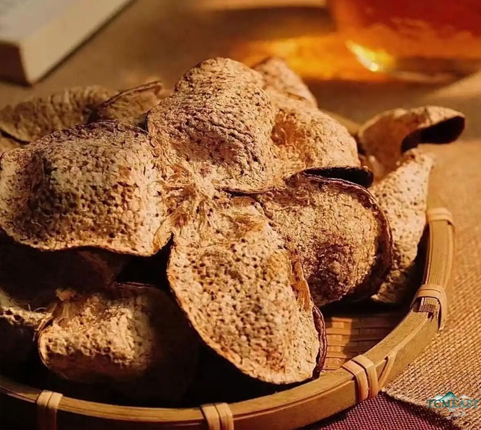 Tangerine Peel (Chen Pi) — The Aged Citrus That Transforms Digestion