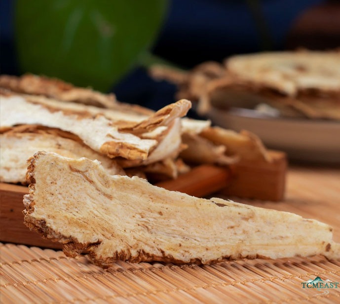 Angelica sinensis (Dang Gui) — The Women's Ginseng