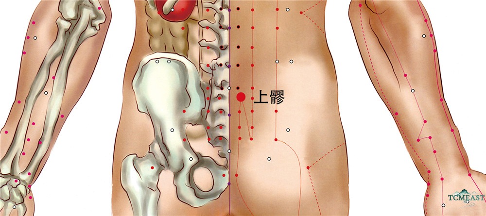 Shangliao Point (BL-31 / Upper Bone Crevice)