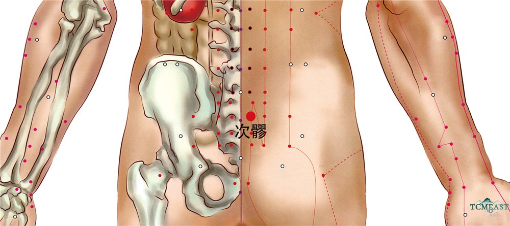 Ciliao Point (BL-32 / Second Bone Crevice)