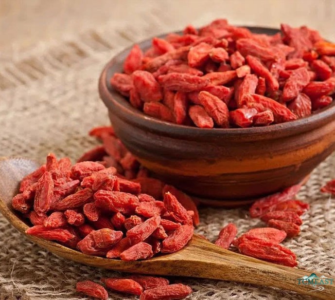 Goji Berry (Gou Qi Zi) — The Vision Berry of Traditional Chinese Medicine