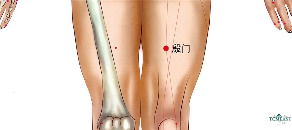 Yinmen Point (BL-37 / Flourishing Gate)