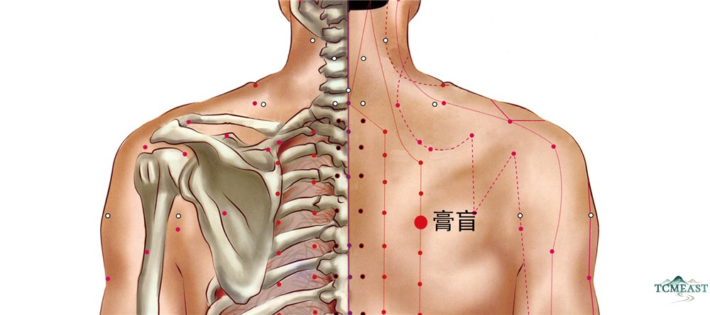 Gaohuang Point (BL-43 / Vital Point)