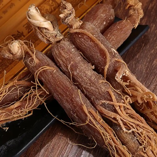 Ginseng Radix Et Rhizoma Rubra