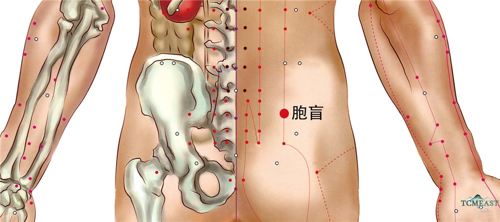 Baohuang Point (BL-53 / Bladder Membrane)
