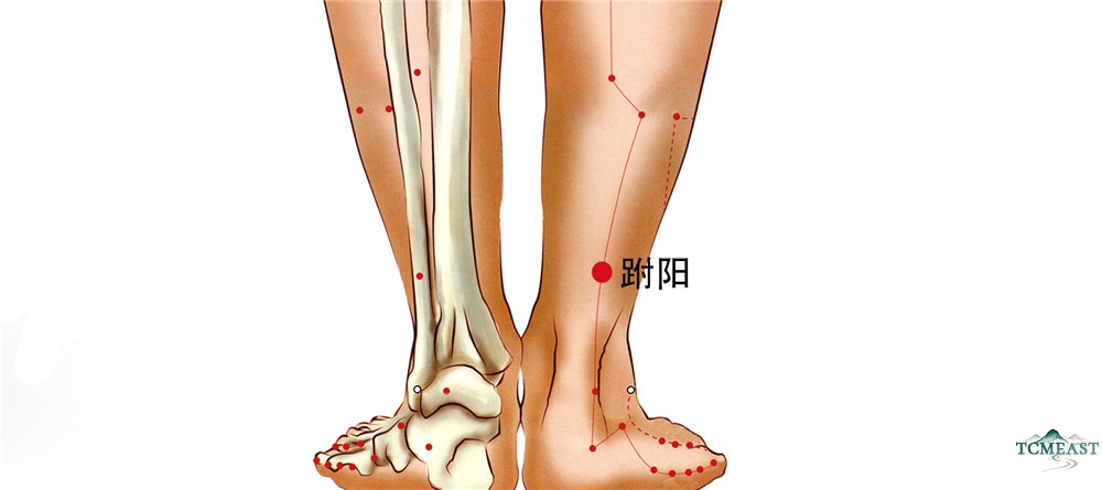Fuyang Point (BL-59 / Instep Yang, also known as Fuyang, Fuyang)