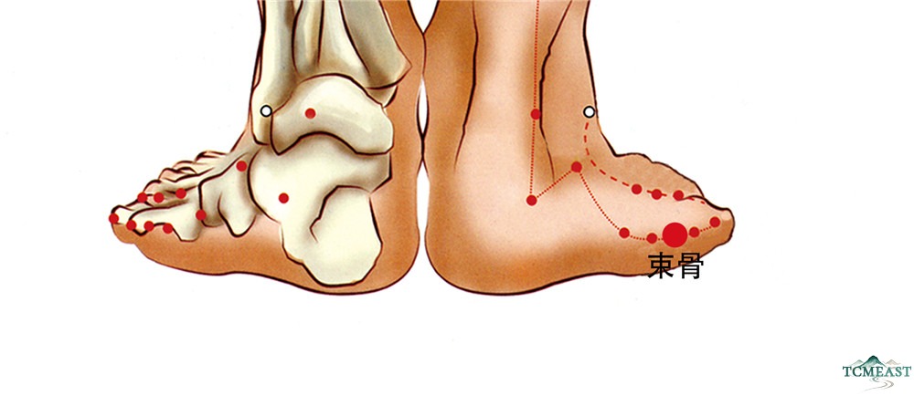 Shugu Point (BL-65 / Binding Bone)