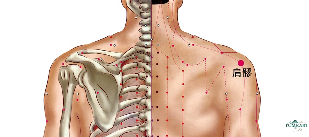 Jianliao Point (TE-14 / Shoulder Bone Crevice)