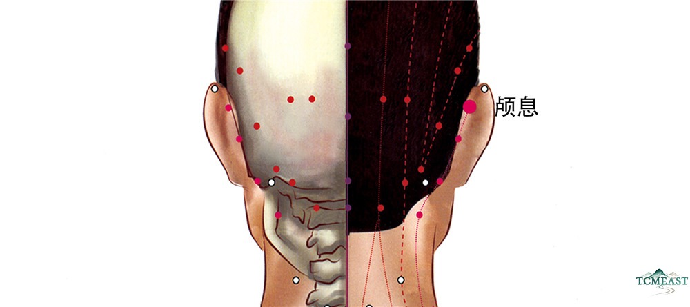 Luxi Point (TE-19 / Cranial Rest)