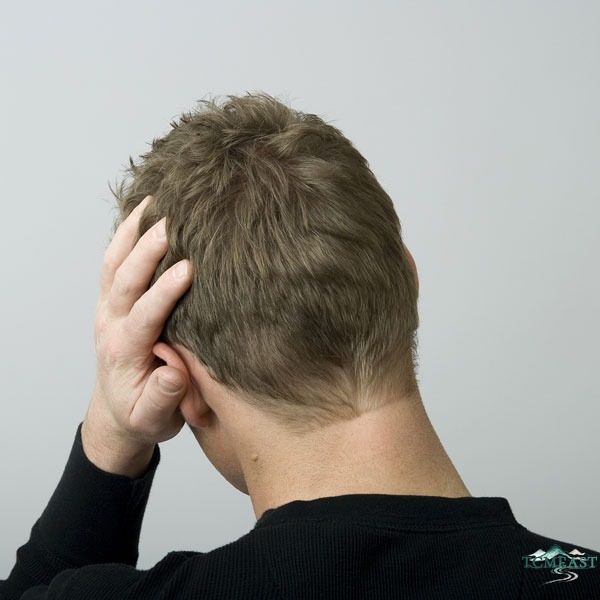 Chinese Herbs for Hair Growth: TCM Guide to Stronger, Thicker Hair