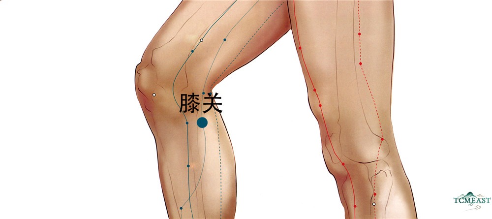 Xiguan Point (LR-7 / Knee Pass)