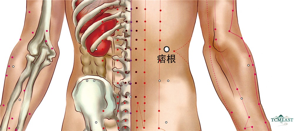 Pigen Point (EX-B4 / Root of Mass)