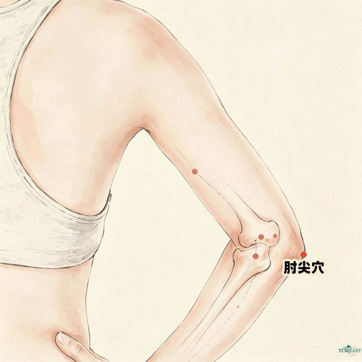 Zhoujian Point (EX-UE1 / Elbow Tip)