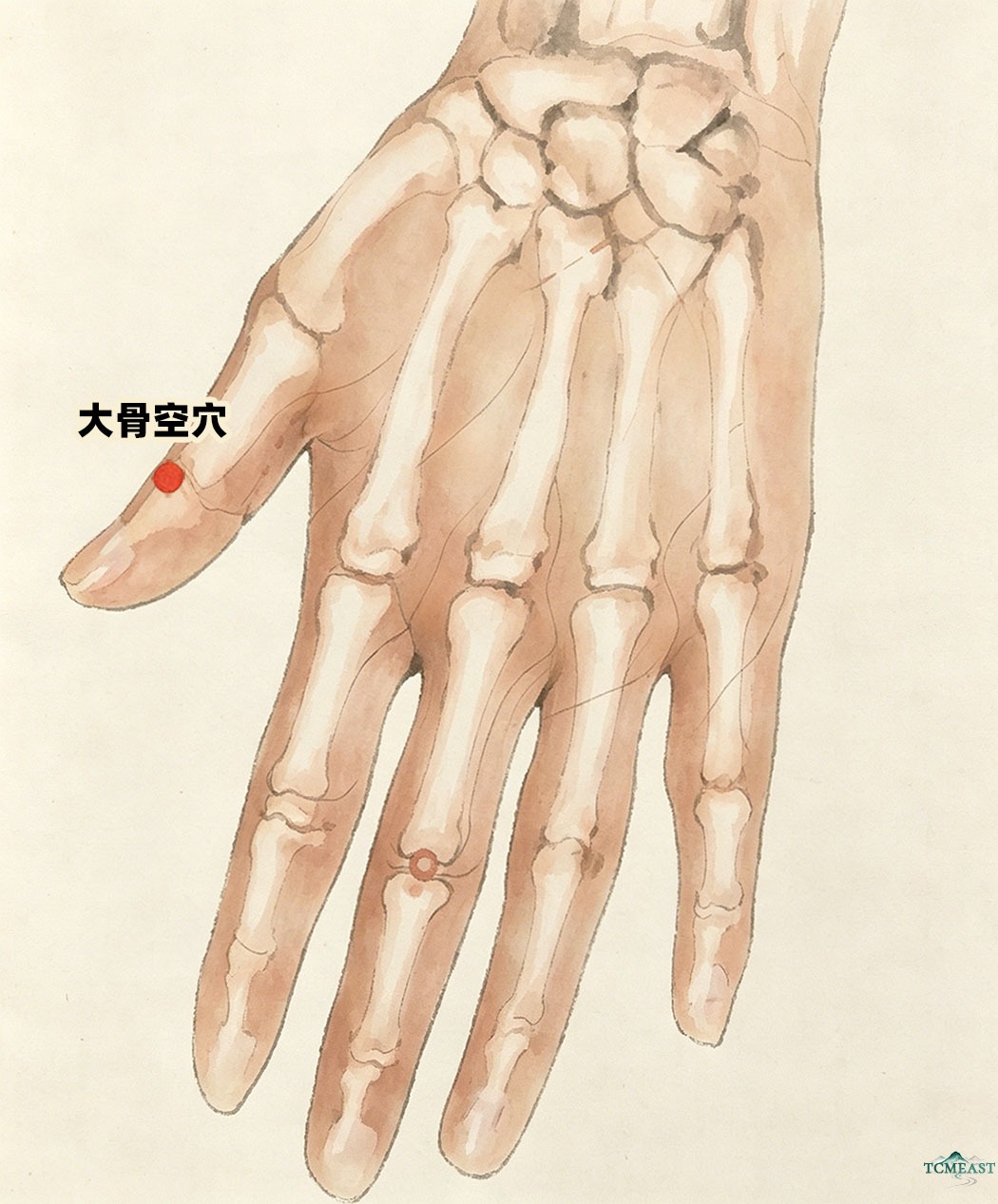 Dagukong Point (EX-UE5 / Large Bone Hollow)