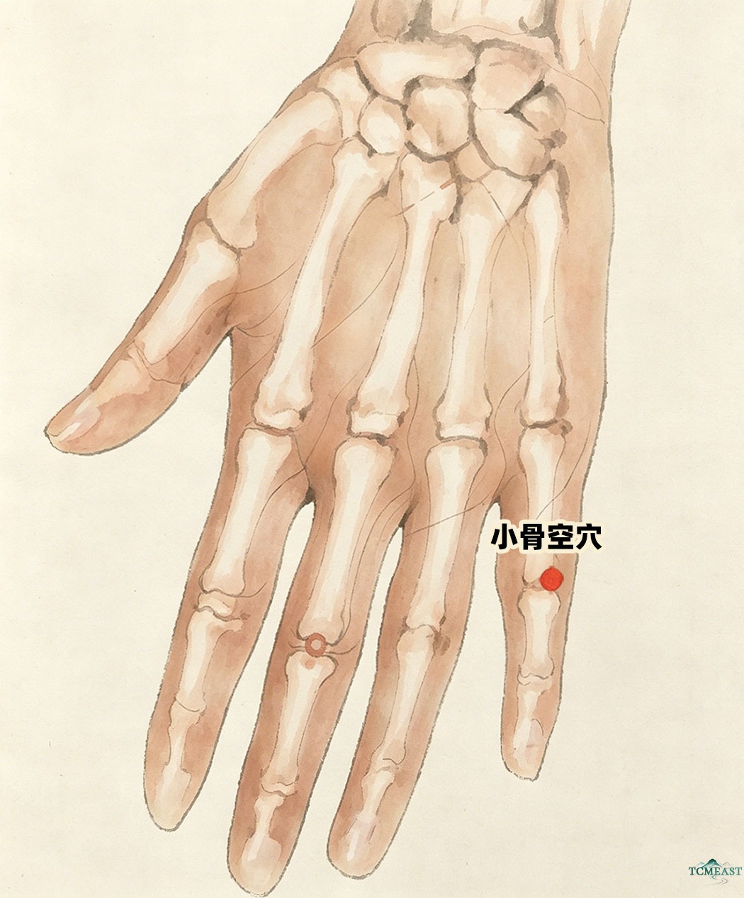 Xiaogukong Point (EX-UE6 / Small Bone Hollow)