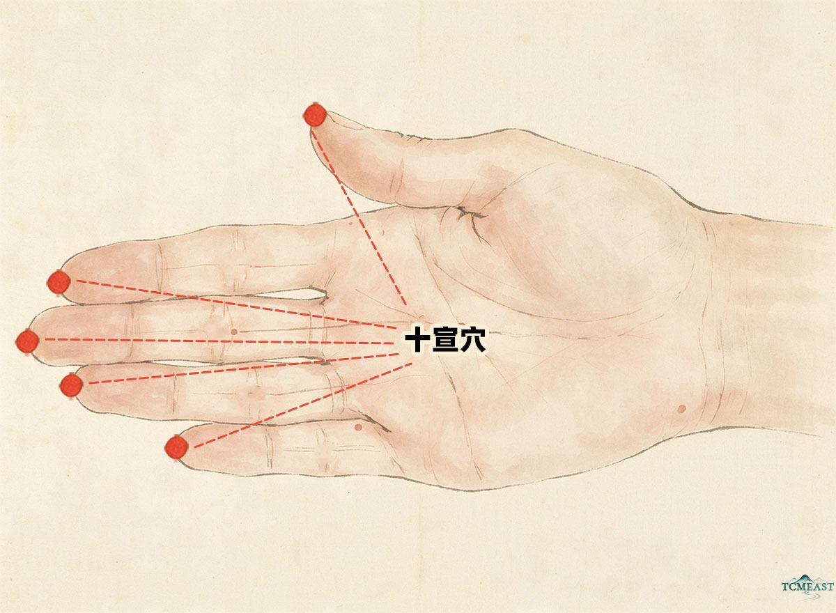 Shixuan Point (EX-UE11 / Ten Xuan Points)