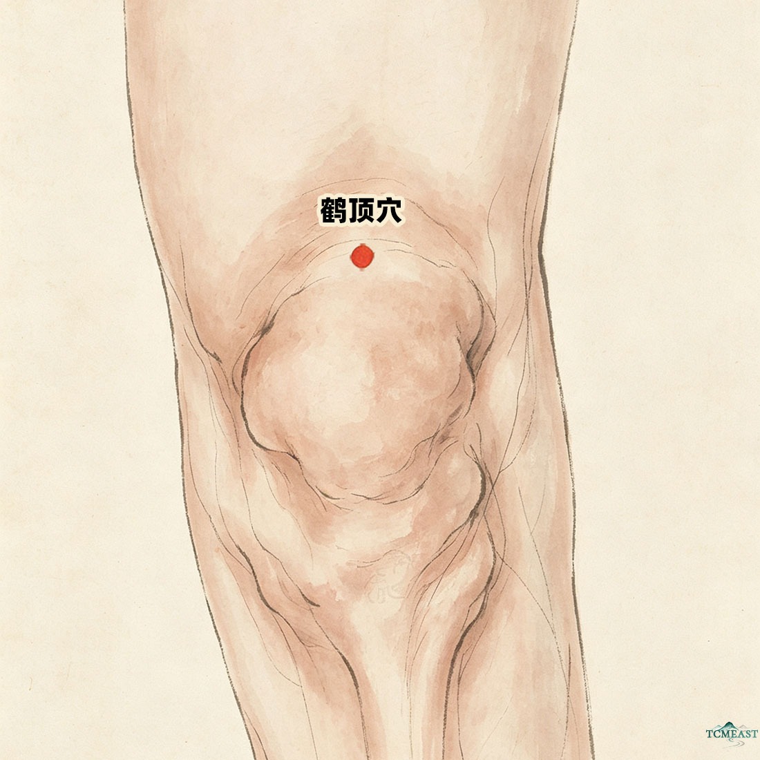 Heding Point (EX-LE2 / Crane's Crown)