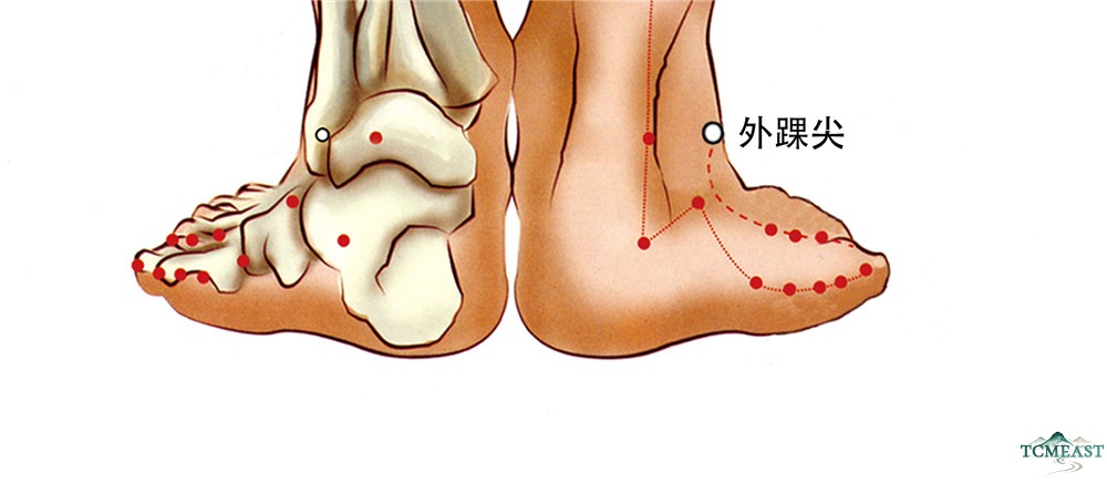Waihuaijian Point (EX-LE9 / Lateral Malleolus Tip)