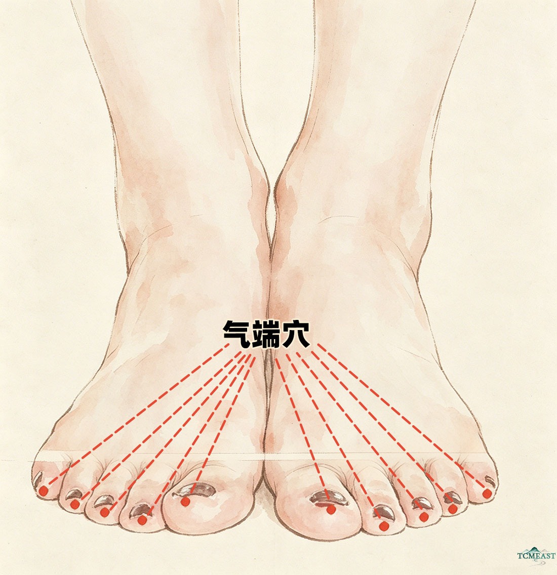 Qiduan Point (EX-LE12 / Qi Extremity)